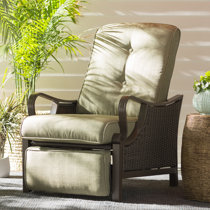 Wayfair shop outdoor recliner